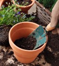 April Gardening Tips